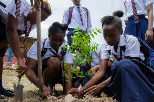 YCBN Climate Action Club badge